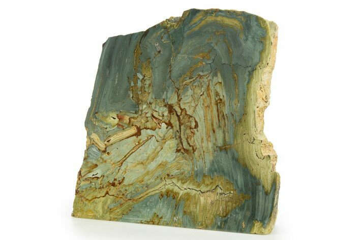 Free-Standing, Gary Green Jasper (Larsonite) Bog Wood - Oregon #334839